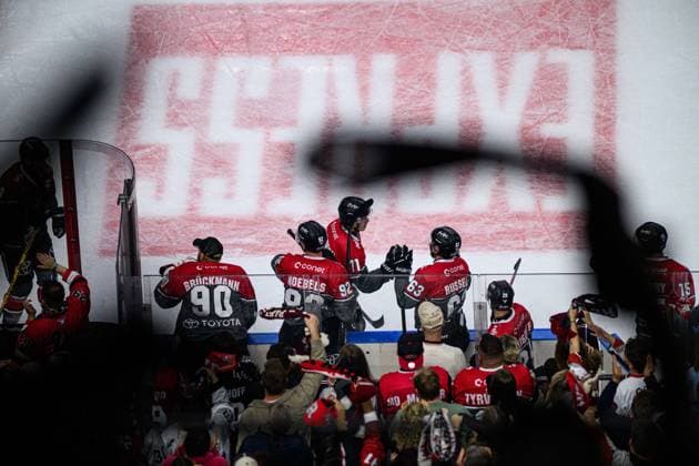 COLOGNE, GERMANY - 20 SEPTEMBER, 2026: - The PENNY DEL Ice hockey, Eishockey match Koelner Haie vs. Loewen Frankfurt at LANXESS arena.  Copyright: xVitaliixKliuievx