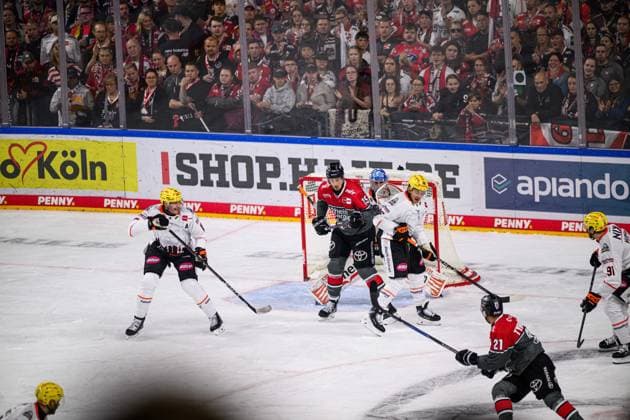 COLOGNE, GERMANY - 20 SEPTEMBER, 2026: - The PENNY DEL Ice hockey, Eishockey match Koelner Haie vs. Loewen Frankfurt at LANXESS arena.  Copyright: xVitaliixKliuievx