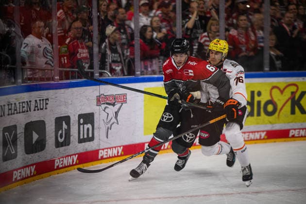 COLOGNE, GERMANY - 20 SEPTEMBER, 2026: Marco Muenzenberger - The PENNY DEL Ice hockey, Eishockey match Koelner Haie vs. Loewen Frankfurt at LANXESS arena.  Copyright: xVitaliixKliuievx