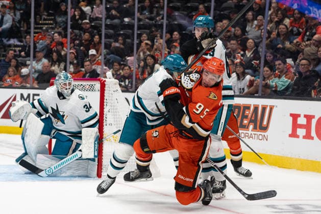 NHL, Eishockey Herren, USA San Jose Sharks At Anaheim Ducks Anaheim Ducks center Roger McQueen (95) gets tangled up with another player during an NHL game between the San Jose Sharks and the Anaheim Ducks on Sunday, September 20, 2026, at Honda Center in Anaheim, California. Anaheim California United States  Copyright: xEdwinxSox originalFilename:so-nhlsanjo260920_npfpK.jpg