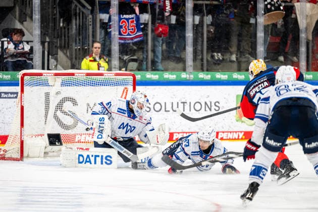 22.09.2026 - Eishockey - Saison 2026 2027 - Penny DEL - Nürnberg Ice Tigers Icetigers - Adler Mannheim - ThHa - xthxhax - Jake Hildebrand (30, Adler Mannheim ) hält den Puck von Tyler Spezia (37, Nürnberg Ice Tigers, NIT ) nicht