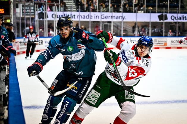 Daniel Neumann (Iserlohn Roosters, 22) Tim Wohlgemuth (Augsburger Panther, 33), GER, Iserlohn Roosters vs. Augsburger Panther, Eishockey, Penny-DEL, 3. Spieltag, Spielzeit 2026 2027, 24.09.2026, GER, Iserlohn Roosters vs. Augsburger Panther, Eishockey, Penny-DEL, 3. Spieltag, Spielzeit 2026 2027, 24.09.2026 Iserlohn Copyright: xJonasxBrockmann Eibner-Pressefotx EP_JBN
