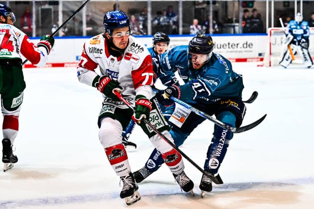 Maximilian Eisenmenger (Iserlohn Roosters, 41) Luke Toporowski (Augsburger Panther, 77), GER, Iserlohn Roosters vs. Augsburger Panther, Eishockey, Penny-DEL, 3. Spieltag, Spielzeit 2026 2027, 24.09.2026, GER, Iserlohn Roosters vs. Augsburger Panther, Eishockey, Penny-DEL, 3. Spieltag, Spielzeit 2026 2027, 24.09.2026 Iserlohn Copyright: xJonasxBrockmann Eibner-Pressefotx EP_JBN