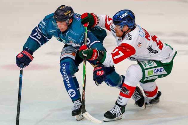 2026.09.24, xkwix, Eishockey, DEL, Iserlohn Roosters - Augsburger Panther, Eissporthalle am Seilersee, 3.Spieltag, Saison 2026 2027: Julian Napravnik (Iserlohn Roosters 75) im Zweikampf gegen Sean Malone (Augsburger Panther 17) Photo: xKamilxWilkowskixPressefotoKochx Nordrhein-Westfalen Deutschland