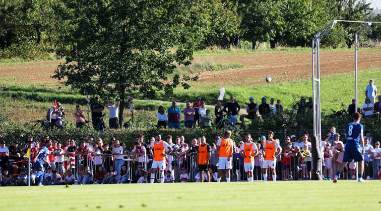 2026.09.25, Deutschland, Weinstadt Fußball VfB Stuttgart vs. 1. FC Heidenheim, Feature Zuschauer schauen sich das Spiel von der Wiese aus an