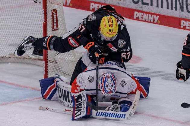 Penny DEL: Löwen Frankfurt - Nürnberg Ice Tigers, 25.09.2026 Matthew Wedman (Löwen Frankfurt 67) rollt über Niklas Treutle (Nürnberg Ice Tigers 31), Löwen Frankfurt - Nürnberg Ice Tigers, Frankfurt, NIX Eissporthalle, 25.9.2026 Copyright: xBEAUTIFULxSPORTS Gawlikx