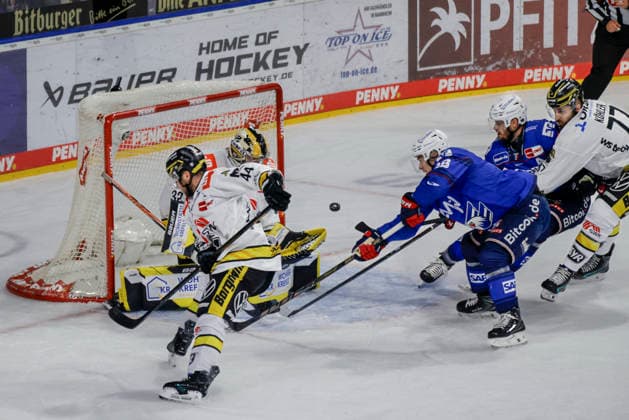 25.09.2026, xhettx, Eishockey Penny DEL, Adler Mannheim - Krefeld Pinguine v.l.