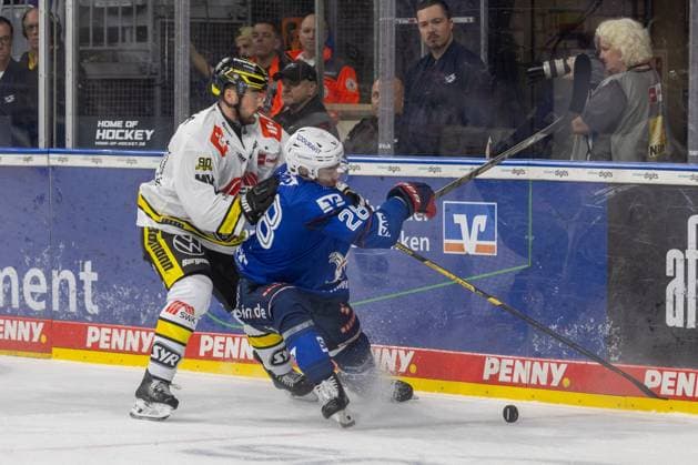 DEL, Deutsche Eishockey Liga Saison 2026 27, 3. Spieltag: Adler Mannheim gegen Krefeld Pinguine Zack Dybowski (44, Krefeld) und Alexander Ehl (28, Mannheim) im Zweikampf an der Bande Copyright: xUdoxHerrmannx