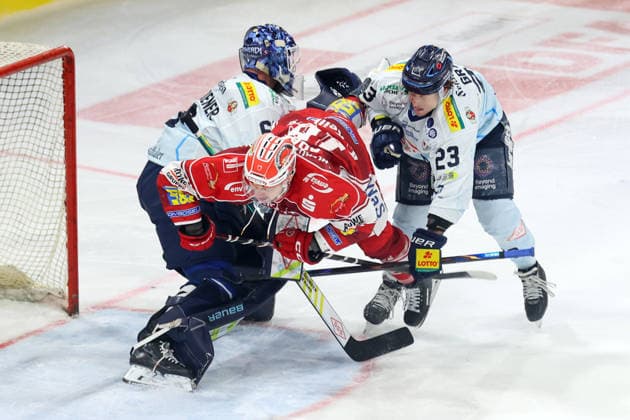 Sahnpark Crimmitschau 25.09.2026 Saison 2026 27 Eishockey 2. Bundesliga Hauptrunde Spiel 3 Kunsteisstadion Sachsen Eispiraten Eispiraten - Dresdner Eislöwen Collin Adams Rot fliegt zwischen Janick Schwendener Torhüter Dresden und Oliver Granz 23 Dresden durch Crimmitschau Sachsen Germany