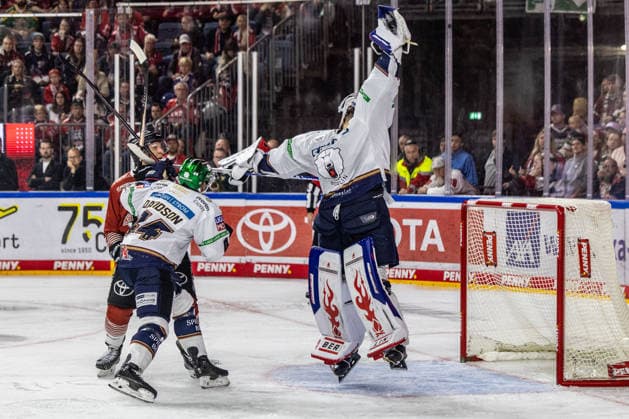Jack LaFontaine (Eisbaeren Berlin, 45) springt und holt den Puck aus der Lust, Brandon Davidson (Eisbaeren Berlin, 44) vs Frederik Storm (Koelner Haie, 19) Koelner Haie vs. Eisbaeren Berlin, Eishockey, Penny DEL, Spieltag 03, 2026 2027, 25.09.2026 Koelner Haie vs. Eisbaeren Berlin, Eishockey, Penny DEL, Spieltag 03, 2026 2027, 25.09.2026 Koeln Copyright: xEibner-Pressefoto GerhardxWingenderx EP_GWR