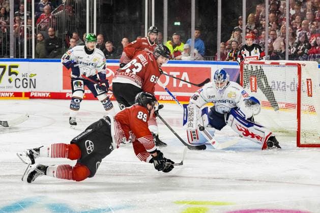 Eishockey Penny-DEL 3.Spieltag Kölner Haie - Eisbären Berlin am 25.09.2026 in der Lanxess Arena in Köln Gregor MacLeod ( Köln ), links - versucht im Fallen Torwart Jack LaFontaine ( Berlin ), rechts zu überwinden Gemäß den Vorgaben der DEL Deutsche Eishockey Liga ist die Publikation und Weiterverwertung der Aufnahmen in elektronischen Medien und Endgeräten aller Art während des laufenden Spiels nicht zulässig.