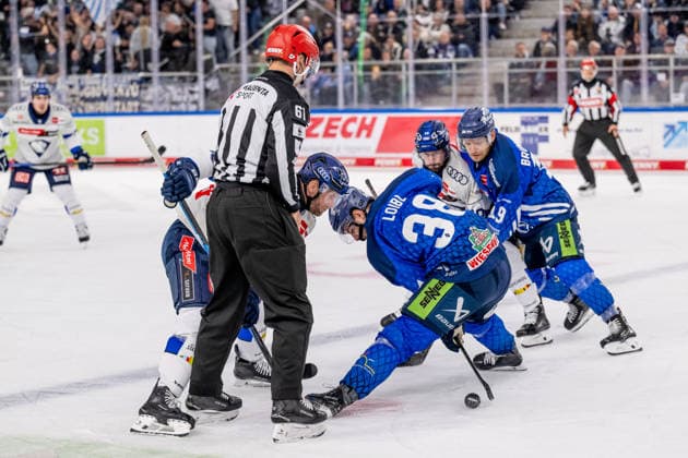Linesperson Markus Merk fuehrt ein Bully Faceoff aus zwischen Daniel Pietta (ERC Ingolstadt, 86) und Stefan Loibl (Straubing Tigers, 38) GER, Straubing Tigers vs. ERC Ingolstadt, Eishockey, DEL, Saison 2026 2027, 3. Spieltag, 25.09.2026. Foto: HMB Media Heike Feiner Copyright: HMBxMedia HeikexFeiner
