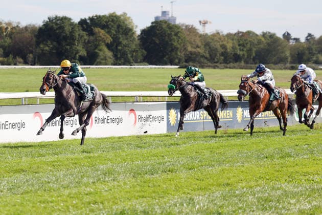 27.09.2026, Koeln, Nordrhein-Westfalen, GER - Martinet mit Luke Morris gewinnt den Winterkoenigin-Trial. Galopprennbahn Koeln-Weidenpesch. (Pferd, Jockey, Martinet, Morris, Sieg, Ziel, Zielankunft) 260927SG985KOELN.JPG