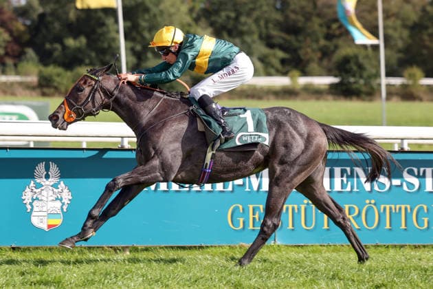27.09.2026, Koeln, Nordrhein-Westfalen, GER - Martinet mit Luke Morris gewinnt den Winterkoenigin-Trial. Galopprennbahn Koeln-Weidenpesch. (Pferd, Jockey, Martinet, Morris, Sieg, Ziel, Zielankunft) 260927SG986KOELN.JPG