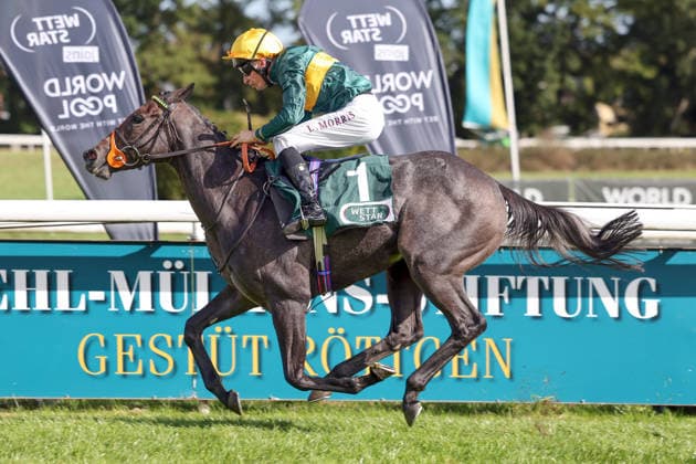 27.09.2026, Koeln, Nordrhein-Westfalen, GER - Martinet mit Luke Morris gewinnt den Winterkoenigin-Trial. Galopprennbahn Koeln-Weidenpesch. (Pferd, Jockey, Martinet, Morris, Sieg, Ziel, Zielankunft) 260927SG987KOELN.JPG
