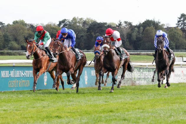 27.09.2026, Koeln, Nordrhein-Westfalen, GER - Fortuna Diamond (Zweite von links) mit Martin Protti gewinnt. Galopprennbahn Koeln-Weidenpesch. (Pferd, Jockey, Fortuna Diamond, Protti, Sieg, Ziel, Zielankunft) 260927SG989KOELN.JPG