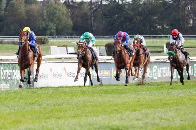 27.09.2026, Koeln, Nordrhein-Westfalen, GER - Goliath mit Christophe Soumillon gewinnt den 64. Preis von Europa. Galopprennbahn Koeln-Weidenpesch. (Pferd, Jockey, Goliath, Soumillon, Sieg, Ziel, Zielankunft) 260927SG990KOELN.JPG