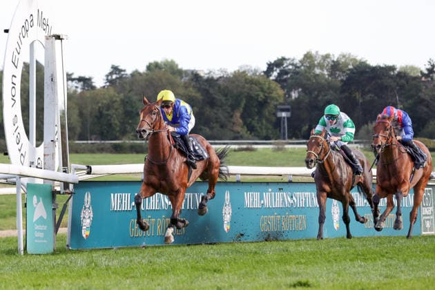 27.09.2026, Koeln, Nordrhein-Westfalen, GER - Goliath mit Christophe Soumillon gewinnt den 64. Preis von Europa. Galopprennbahn Koeln-Weidenpesch. (Pferd, Jockey, Goliath, Soumillon, Sieg, Ziel, Zielankunft) 260927SG991KOELN.JPG