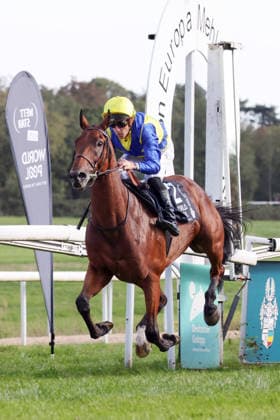 27.09.2026, Koeln, Nordrhein-Westfalen, GER - Goliath mit Christophe Soumillon gewinnt den 64. Preis von Europa. Galopprennbahn Koeln-Weidenpesch. (Pferd, Jockey, Goliath, Soumillon, Sieg, Ziel, Zielankunft) 260927SG992KOELN.JPG