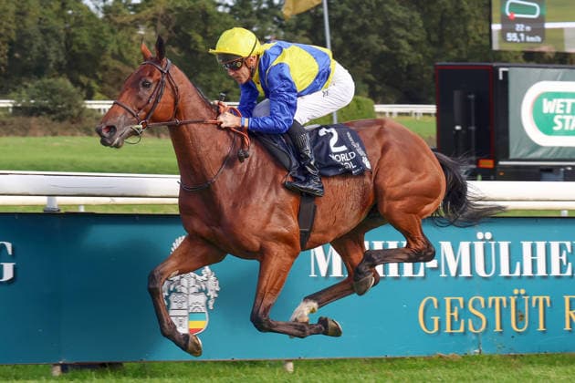 27.09.2026, Koeln, Nordrhein-Westfalen, GER - Goliath mit Christophe Soumillon gewinnt den 64. Preis von Europa. Galopprennbahn Koeln-Weidenpesch. (Pferd, Jockey, Goliath, Soumillon, Sieg, Ziel, Zielankunft) 260927S891KOELN.JPG
