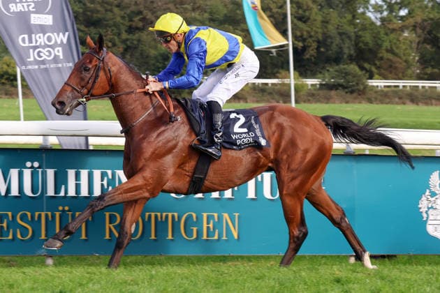 27.09.2026, Koeln, Nordrhein-Westfalen, GER - Goliath mit Christophe Soumillon gewinnt den 64. Preis von Europa. Galopprennbahn Koeln-Weidenpesch. (Pferd, Jockey, Goliath, Soumillon, Sieg, Ziel, Zielankunft) 260927S892KOELN.JPG