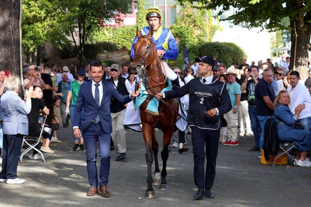 27.09.2026, Koeln, Nordrhein-Westfalen, GER - Goliath mit Christophe Soumillon nach dem Sieg im 64. Preis von Europa. Galopprennbahn Koeln-Weidenpesch. (Pferd, Jockey, Goliath, Soumillon, Sieg) 260927S895KOELN.JPG