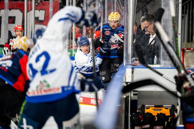 27.09.2026 - Eishockey - Saison 2026 2027 - Penny DEL - Nürnberg Ice Tigers Icetigers - Straubing Tigers - ThHa - xthxhax - Simon Seidl (39, Straubing Tigers ) ?? Ryan Jones (20, Nürnberg Ice Tigers, NIT ) Check