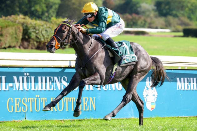 27.09.2026, Koeln, Nordrhein-Westfalen, GER - Martinet mit Luke Morris gewinnt den Winterkoenigin-Trial. Galopprennbahn Koeln-Weidenpesch. (Pferd, Jockey, Martinet, Morris, Sieg, Ziel, Zielankunft) 260927S877KOELN