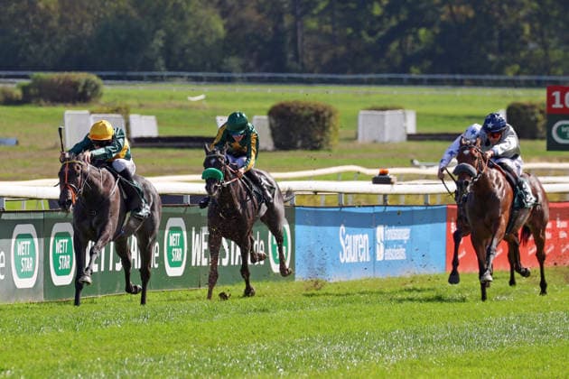 27.09.2026, Koeln, Nordrhein-Westfalen, GER - Martinet mit Luke Morris gewinnt den Winterkoenigin-Trial. Galopprennbahn Koeln-Weidenpesch. (Pferd, Jockey, Martinet, Morris, Sieg, Ziel, Zielankunft) 260927S875KOELN