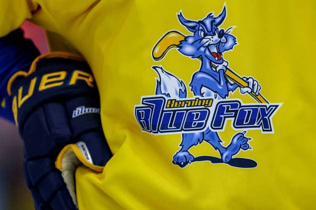 07.10.2026, Eishockey, CHL, Kölner Haie - Blue Fox Herning, Champions Hockey League 2026 27, 5. Spieltag, Saison 2026 27, Lanxess-Arena Köln: Symbolbild Logo Vereinslogo Banner Emblem in Nahaufnahme Trikot Nordrhein-Westfalen Deutschland