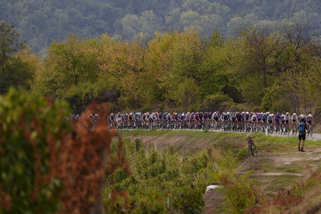 The pack rides during the 110th edition of the Gran Piemonte 2026 a 185 km one day race from Asti to Bra on October 08, 2026, Italy.  Copyright: xFabioxFerrari LaPressex