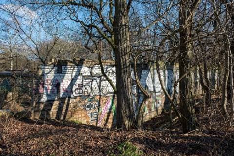 Themen der Woche Bilder des Tages Das kuerzlich in einem Waldstueck wiederentdeckte Stueck Berliner Mauer (Foto vom 05.02.18) soll als Denkmal erhalten werden. Das Landesdenkmalamt leitete die Unterschutzstellung des Mauerabschnittes am Berliner S-Bahnhof Schoenholz ein, wie Kultursenator Klaus Lederer (Linke) am Montag (05.02.2018) mitteilte. Er sprach von einem einzigartigen historischen Dokument der Teilung der Stadt. Bei dem erst vor wenigen Wochen durch einen Heimatforscher bekanntgemachten Fund handelt es sich den Angaben zufolge um eine alte Ziegelmauer, die im Zuge der Spaltung von Ost- und West-Berlin als Teil der Berliner Mauer verwendet und gesichert wurde. Nach Bekanntwerden der Entdeckung war zunaechst davon ausgegangen worden, dass es sich um ein Stueck Ur-Mauer handeln koennte. (Siehe epd-Medlung vom 05.02.2018) Berliner Mauerfund soll Denkmal werden