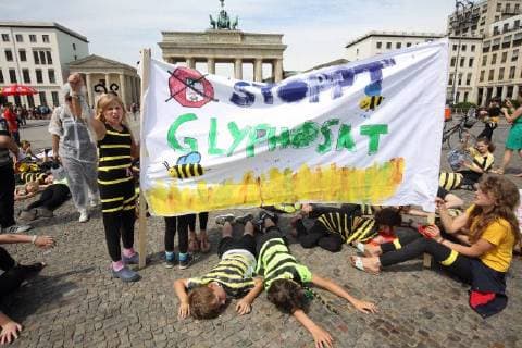 News Bilder des Tages Mit einer Performance vor dem Brandenburger Tor haben Berliner Schueler am Donnerstag (21.06.18) gegen das Bienensterben protestiert. Als Bienen verkleidet schwaermten etwa 100 Erst- bis Sechsklaessler der Evangelischen Schule Friedrichshain ueber den Pariser Platz, bis sie symbolisch mit Glyphosat bespritzt wurden und daran starben . (Siehe epd-Meldung vom 21.06.18) Schueler demonstrieren in Berlin gegen Bienensterben