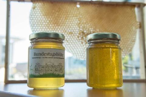 News Bilder des Tages Umwelt Honigernte Bundestags-Bienen Honigernte bei den Bundestags-Bienen. Oliver Krischer, Bienen-Vater des Parlaments und Vizechef der Bundestagsfraktion der Gruenen erntete zusammen mit seinem Mitarbeiter Daniel Holstein und dem Imker Dr. Benedikt Polaczeck von der Technischen Universitaet, am Dienstag den 7. August 2018 im Paul-Loebe-Haus den Honig der Bundestagsbienen. Insgesamt wird eine Ernte von bis zu 100 Kilogramm von den drei Bienenvoelkern erwartet. Die Bienenvoelker wurden 2016 als Zeichen gegen das Bienensterben von der gruenen Bundestagsabgeordneten Baerbel Hoehn aufgestellt. Im Bild: Der frisch geschleuderte Bundestagshonig. 7.8.2018, Berlin