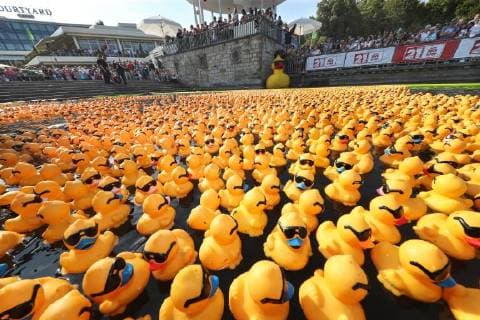 News Themen der Woche KW33 News Bilder des Tages Hannover, Maschseefest, Es ist Hannovers größtes Charity-Event: das Entenrennen vom Norddeutschen Knochenmark- und Stammzellspender-Register (NKR) zum Maschseefest. 5000 Enten waren am Start,