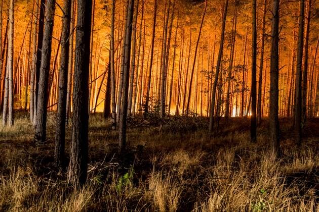 News Themen der Woche KW34 News Bilder des Tages 24.08.2018, Brandenburg, Deutschland, GER - Großbrand in einem Wald in Brandenburg zwischen den OrtschaftenTreuenbrietzen und Jüterborg. Am Mittag ist das Feuer nahe der Ortschaft Treuenbrietzen ausgebrochen. Bis zum Abend breitete sich der Waldbrand auf eine Fläche von ca. 300 Hektar aus. Im Bild zu sehen ist ein kleider Teil der in Brand geratenen Fläche. .