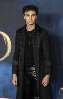 November 13, 2018 - London, United Kingdom - Stevie Ruffs seen attending the UK Premiere of the Fantastic Beasts: The Crimes Of Grindelwald at the Cineworld Leicester Square in London. London United Kingdom - ZUMAs197 20181113_zaa_s197_323 Copyright: xGaryxMitchellx