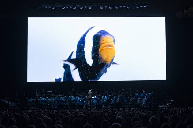 Entertainment Themen der Woche KW09 Entertainment Bilder des Tages Unser Blauer Planet II, Live in Concert mit dem Symphonie Orchester Prag, Olympiahalle Muenchen. 28.02.2019