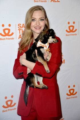 Entertainment Themen der Woche KW14 Entertainment Bilder des Tages April 2, 2019 - New York, NY, USA - April 2, 2019 New York City..Amanda Seyfried attending the Animal Society Best Friends Benefit on April 2, 2019 in New York City. New York USA Copyright: xKristinxCallahanx