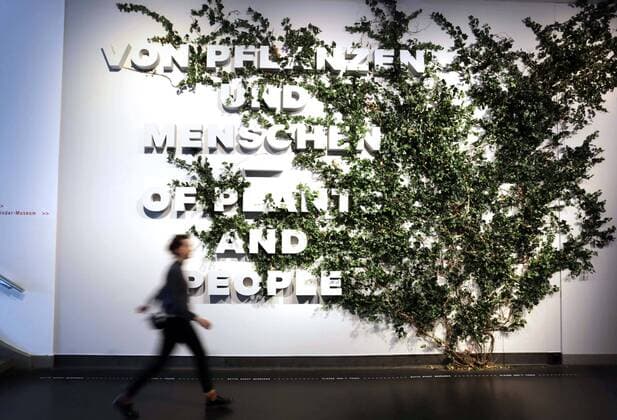 Entertainment Themen der Woche KW16 Entertainment Bilder des Tages Zu einem Streifzug ueber den gruenen Planeten laedt das Deutsche Hygiene-Museum Dresden von Freitag (19.04.2019) an ein (Foto vom 18.04.2019). Die neue Ausstellung widme sich dem zwiespaeltigen Verhaeltnis des Menschen zur Welt der Pflanzen, teilte das Museum am Donnerstag mit. Erstmals in der europaeischen Museumslandschaft werde eine umfassende und interdisziplinaere Annaeherung an die wichtigsten Mit-Lebewesen unternommen. (Siehe epd-Bericht vom 18.04.2019) Dresdner Ausstellung Streifzug ueber den gruenen Planeten