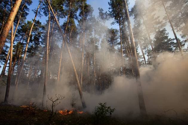 News Themen der Woche KW23 News Bilder des Tages Waldbrand in Brandenburg - Unterstützung aus der Luft mit Hubsc, Waldbrand in Brandenburg mittlerweile am Ortsrand von Felgentreu angekommen. Die Feuerwehren sind im Großeinsatz und werden mittlerweile durch Hubschrauber der Bundespolizei unterstüzt. Die Hubschrauber löschen aus der Luft mit, da dort das Gelände das brennt, nicht betreten werden kann, da das Gelände mit Munition verseucht ist. Felgentreu Brandenburg Deutschland