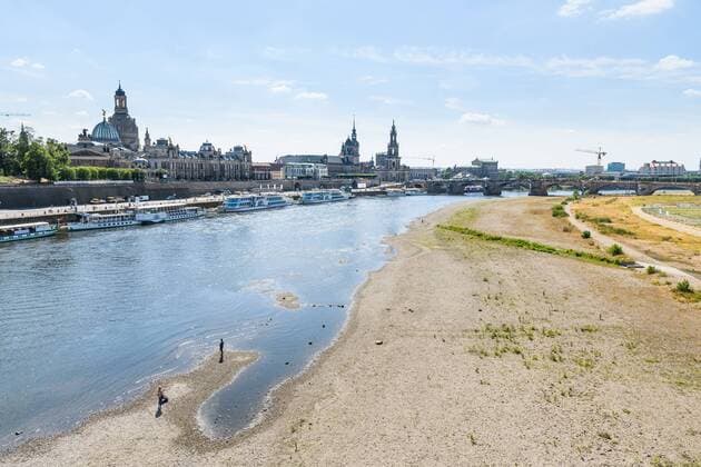 News Bilder des Tages Blick von der Carolabrücke auf den niedrigen Wasserstand der Elbe und die Brühlsche Terrasse mit einigen Schiffen der Flotte der Sächsischen Dampfschiffahrt; Kurzer Altstadtspaziergang am Mittwochnachmittag; Dresden; 10. Juli 2019;