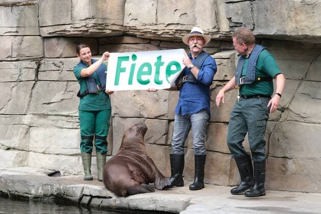 Entertainment Themen der Woche KW31 Entertainment Bilder des Tages Hamburg Zwei Bartträger im Eismeer, der junge Walross-Bulle, am 5. Mai bei Hagenbeck geboren, wurde heute von Horst Lichter auf den Namen Fiete getauft, rechts Tierpfleger Dirk Stutzki und links Tierpflegerin Kristin Zimmer Horst Lichter tauft das kleine Walross im Tierpark Hagenbeck Hamburg 2.8.2019