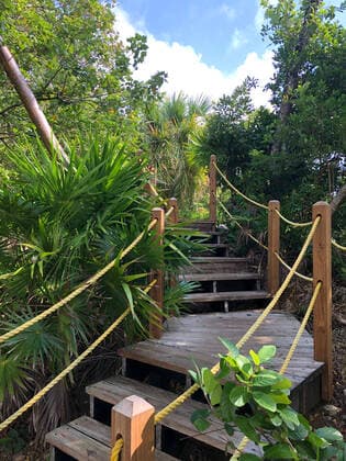 Botanischer Garten am Hafen Mahogany Bay auf Roatan mit Strandclub und Seilbahn - 01.02.2020: Roatan mit der Costa Luminosa
