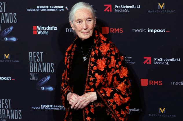 2020 Bilder des Jahres, Entertainment 02 Februar Entertainment Themen der Woche KW08 Jane Goodall bei der 17. Verleihung der Best Brands Awards 2020 im Hotel Bayerischer Hof. München, 19.02.2020