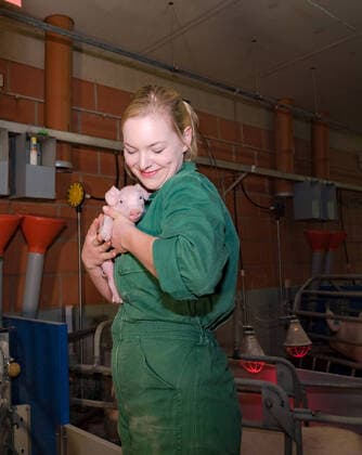 Schweinehaltung - Imagepflege, junge Frau im Schweinestall drückt niedliches Ferkel an sich. Liebevoller Umgang mit Nutztieren. Junge, attraktive Landwirtin im modernen Abferkelstall hält ein kleines Saugferkel liebevoll im Arm. Prima Themenfoto als Bebilderung zum Thema Schweinehaltung, Tierwohl, Stalleinbrüche, Kastration, Ringelschwanz oder Attraktivität des landwirtschaftlichen Berufsstandes. Wir lieben Schweine! Landwirtschaftliches Symbolfoto. Holdorf Niedersachsen Deutschland
