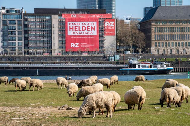 Bilder des Jahres 2020, News 04 April News Themen der Woche KW13 News Bilder des Tages Ein Bauunternehmen hat an der Rheinpromenade ein grossen Plakat, mit Dank an die Helden des Alltags, an eine Hausfassade gehängt, Düsseldorf am Rhein, während der Coronakrise, Auswirkungen der Coronakrise in Deutschland,
