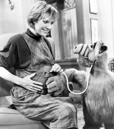 ALF, (from left): Anne Schedeen, Alf, Having My Baby , (Season 3, ep. 326, aired May 8, 1989), 1986-90. Alien Productions Courtesy: Everett Collection Alien Productions Courtesy: Everett Collection !ACHTUNG AUFNAHMEDATUM GESCHÃ„TZT! PUBLICATIONXNOTxINxCANxCHNxFRAxITAxJPNxNORxPOLxRUSxESPxUKxUSA Copyright: xCourtesyxEverettxCollectionx TBDALFF EC019