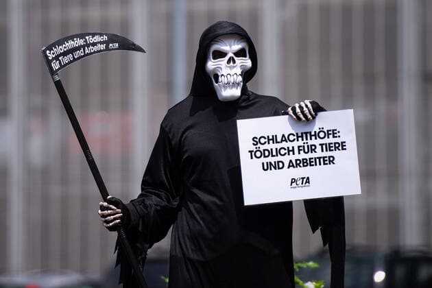 Bilder des Jahres 2020, News 06 Juni News Themen der Woche KW25 News Bilder des Tages 19.06.2020: Coronavirus - Demonstration von PETA nach Ausbruch bei Tönnies : Demonstranten der Tierschutzorganisation PETA nach dem Coronavirus Ausbruch bei Tönnies in Rheda-Wiedenbrück, bei dem über 700 Mitarbeiter des Fleischbetriebs positiv auf das Coronavirus getestet wurden, Im Kreis Gütersloh sind daher über 7000 Menschen in Quarantäne. Im Bild: Einer als den Tod verkörperter Demonstrant mit von PETA, der ein Schild gegen Schlachthöfe und Tierquälerei hochhält. Foto: Noah Wedel, Rheda-Wiedenbrück Nordrhein-Westfalen Deutschland