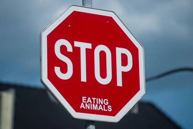 22.06.2020 - Coronavirus: Feature Kreis Gütersloh: Im Bild: Ein Stopp-Kennzeichen mit dem Aufkleber Eating Animals Foto: Noah Wedel, Gütersloh Nordrhein-Westfalen Deutschland